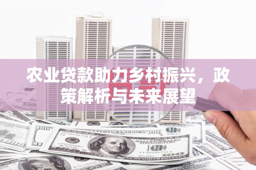 元长农业贷款助力乡村振兴，政策解析与未来展望