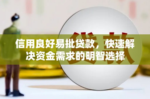 元长信用良好易批贷款，快速解决资金需求的明智选择