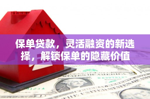元长保单贷款，灵活融资的新选择，解锁保单的隐藏价值