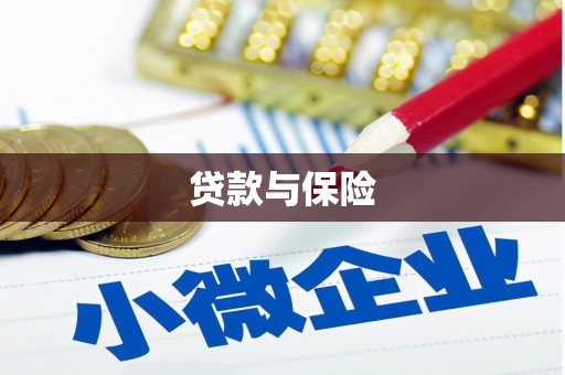 元长贷款与保险