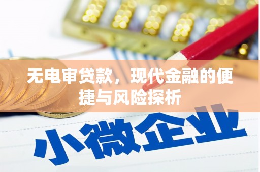 元长无电审贷款，现代金融的便捷与风险探析