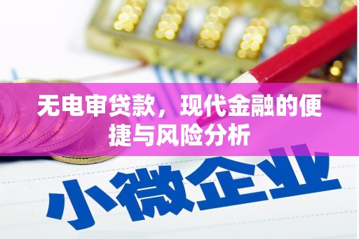 元长无电审贷款，现代金融的便捷与风险分析