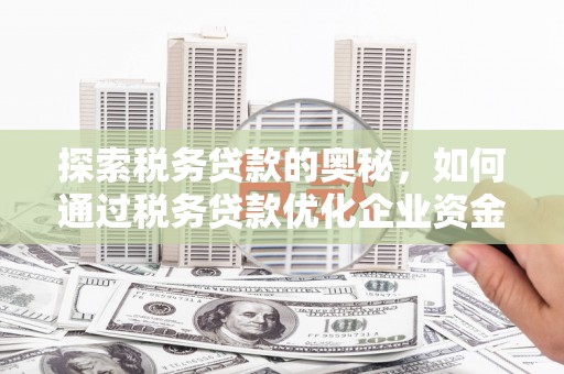 元长探索税务贷款的奥秘，如何通过税务贷款优化企业资金流