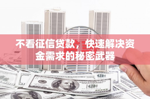 元长不看征信贷款，快速解决资金需求的秘密武器