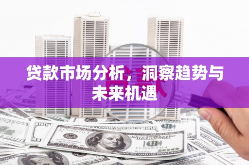元长贷款市场分析，洞察趋势与未来机遇