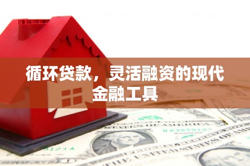 元长循环贷款，灵活融资的现代金融工具