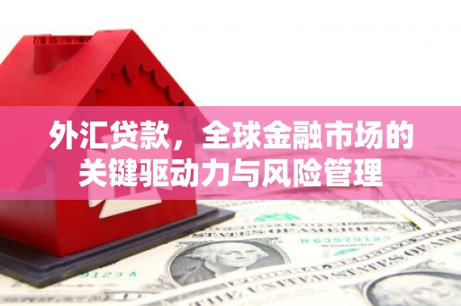 元长外汇贷款，全球金融市场的关键驱动力与风险管理