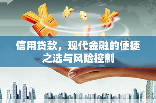 元长信用贷款，现代金融的便捷之选与风险控制