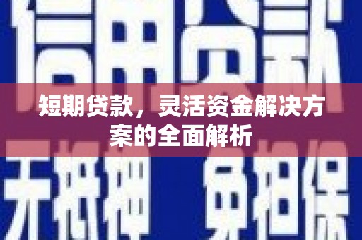 元长短期贷款，灵活资金解决方案的全面解析