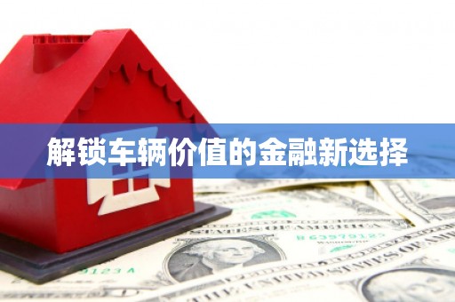 元长解锁车辆价值的金融新选择