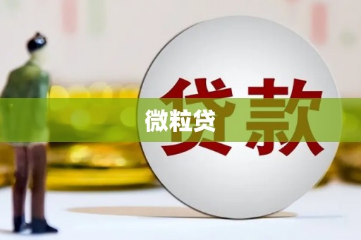 元长微粒贷