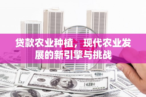 元长贷款农业种植，现代农业发展的新引擎与挑战
