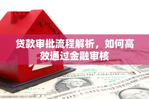 元长贷款审批流程解析，如何高效通过金融审核