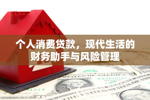 元长个人消费贷款，现代生活的财务助手与风险管理