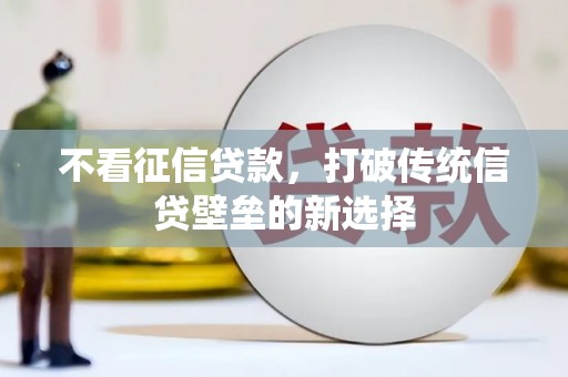 元长不看征信贷款，打破传统信贷壁垒的新选择