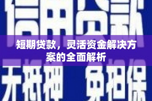 元长短期贷款，灵活资金解决方案的全面解析