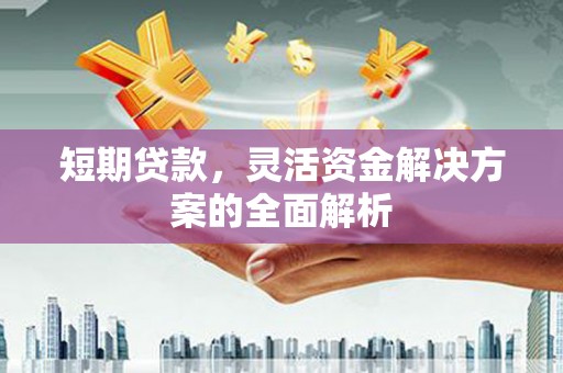元长短期贷款，灵活资金解决方案的全面解析