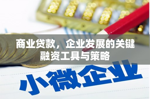 元长商业贷款，企业发展的关键融资工具与策略