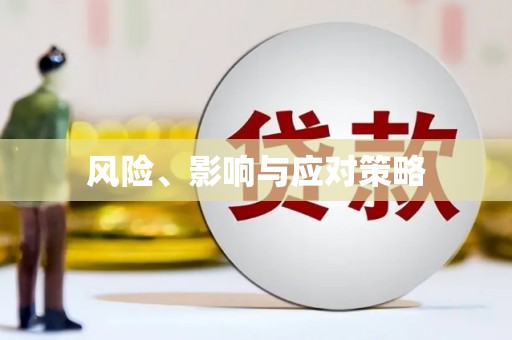 元长风险、影响与应对策略