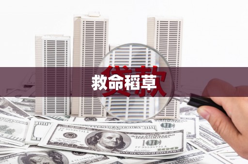 元长救命稻草