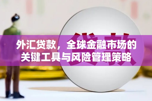 元长外汇贷款，全球金融市场的关键工具与风险管理策略
