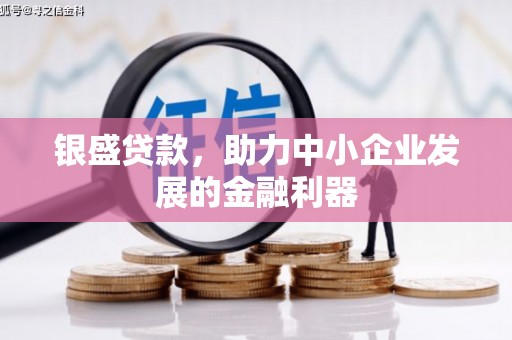 元长银盛贷款，助力中小企业发展的金融利器
