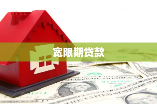 元长宽限期贷款