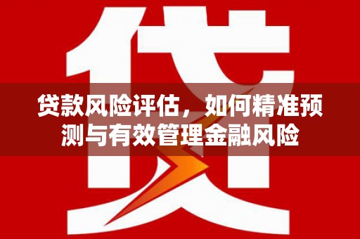 元长贷款风险评估，如何精准预测与有效管理金融风险