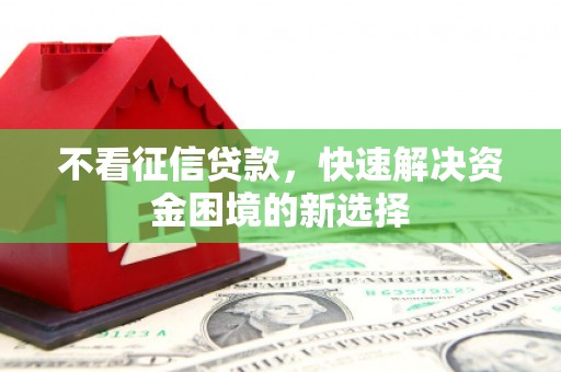 元长不看征信贷款，快速解决资金困境的新选择