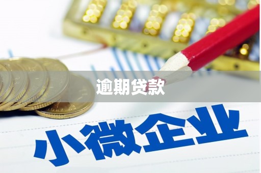 元长逾期贷款