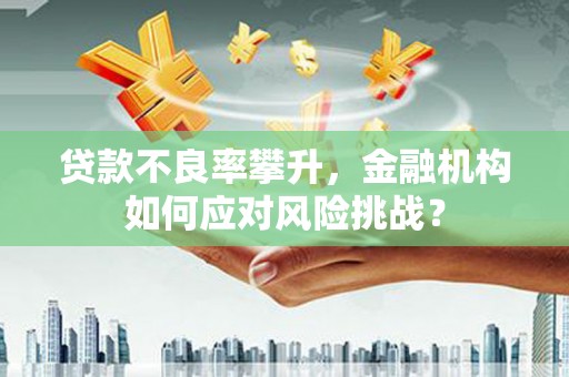 元长贷款不良率攀升，金融机构如何应对风险挑战？