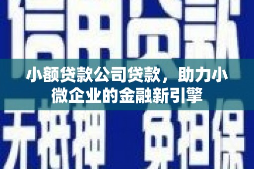 元长小额贷款公司贷款，助力小微企业的金融新引擎