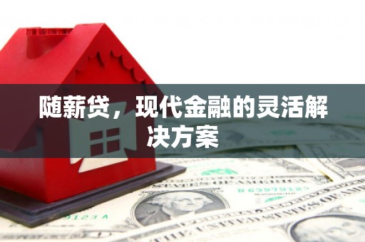 元长随薪贷，现代金融的灵活解决方案