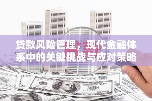元长贷款风险管理，现代金融体系中的关键挑战与应对策略