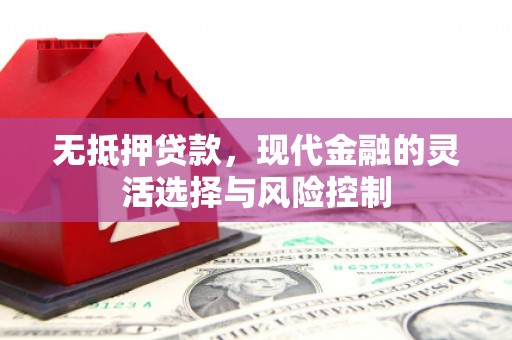 元长无抵押贷款，现代金融的灵活选择与风险控制