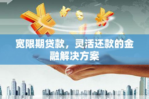元长宽限期贷款，灵活还款的金融解决方案
