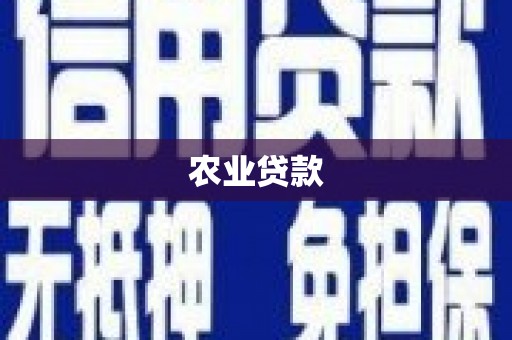 元长农业贷款