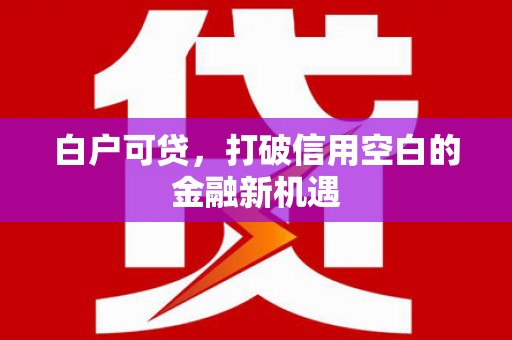 元长白户可贷，打破信用空白的金融新机遇