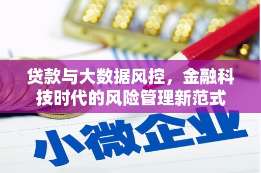 元长贷款与大数据风控，金融科技时代的风险管理新范式