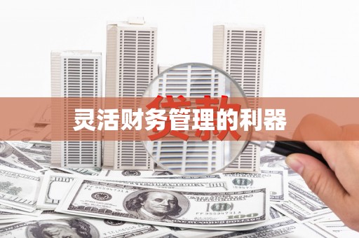 元长灵活财务管理的利器