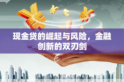 元长现金贷的崛起与风险，金融创新的双刃剑