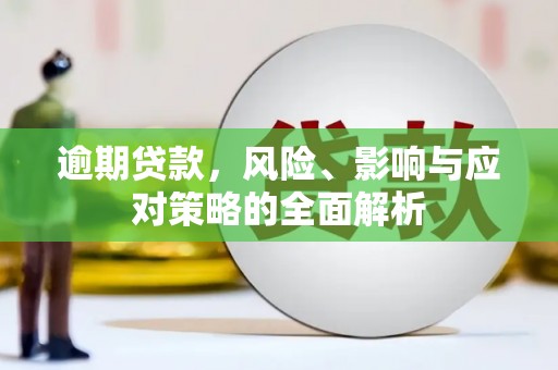 元长逾期贷款，风险、影响与应对策略的全面解析