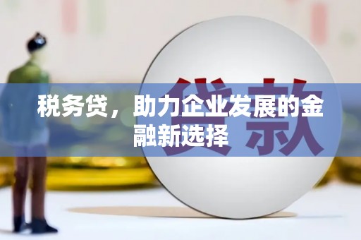 元长税务贷，助力企业发展的金融新选择