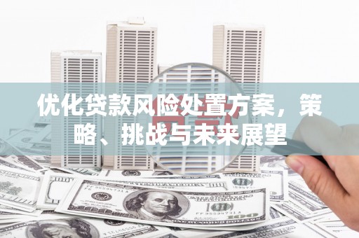 元长优化贷款风险处置方案，策略、挑战与未来展望