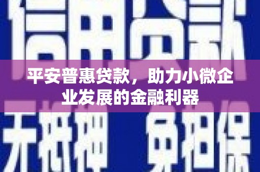 元长平安普惠贷款，助力小微企业发展的金融利器