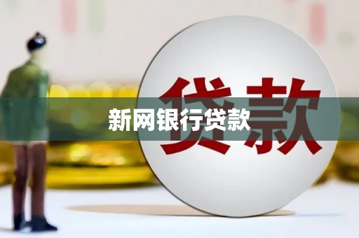 元长新网银行贷款