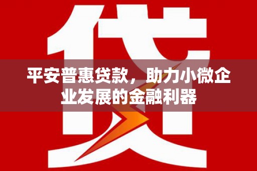 元长平安普惠贷款，助力小微企业发展的金融利器