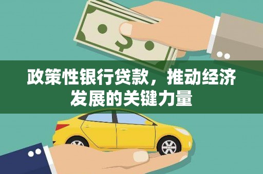 元长政策性银行贷款，推动经济发展的关键力量