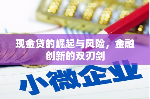 元长现金贷的崛起与风险，金融创新的双刃剑