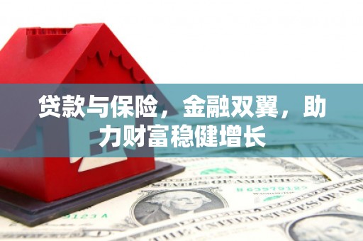 元长贷款与保险，金融双翼，助力财富稳健增长